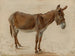 Un burro - Jacques-Laurent Agasse — vista de la obra