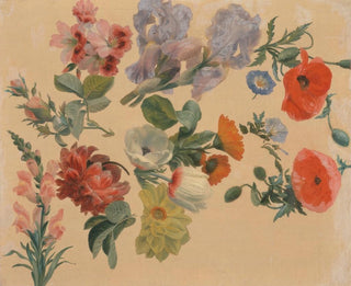 Estudios de flores de verano - Jacques-Laurent Agasse — vista de la obra