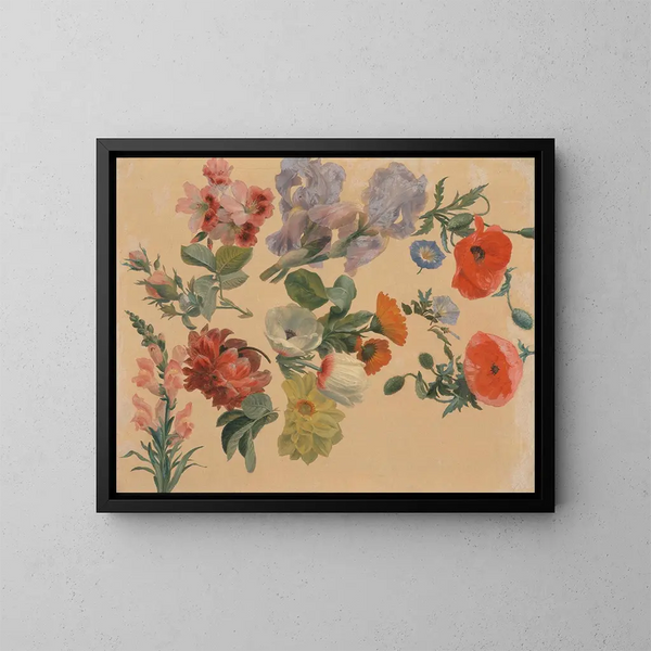 Estudios de flores de verano - Jacques-Laurent Agasse — cuadro enmarcado en la pared