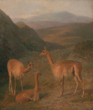 JacquesLaurent Agasse - Vicunas.webp