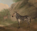 Cebra - Jacques-Laurent Agasse — vista de la obra