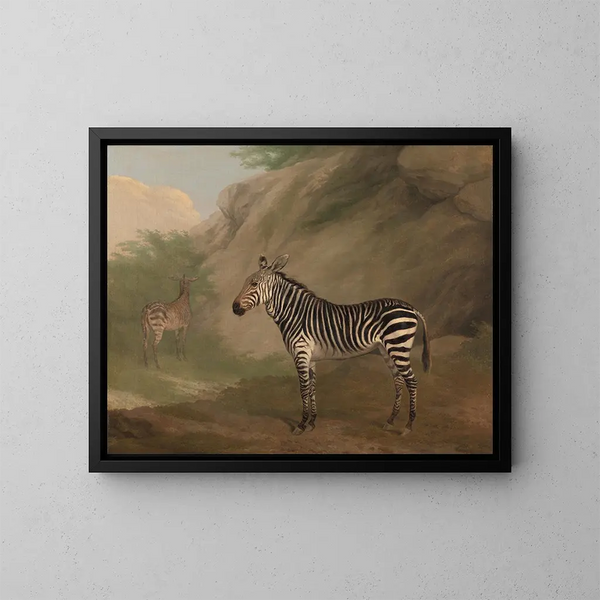 Cebra - Jacques-Laurent Agasse — cuadro enmarcado en la pared