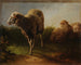 Tres ovejas - Jacques-Raymond Brascassat — vista de la obra