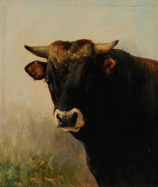 JacquesRaymond Brascassat - Tte de boeuf noir.webp