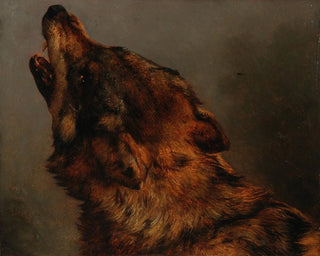 Cabeza de lobo - Jacques-Raymond Brascassat — vista de la obra