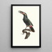 L'Aracari Koulik male from Guyana - Jacques Barraband — framed artwork on a wall