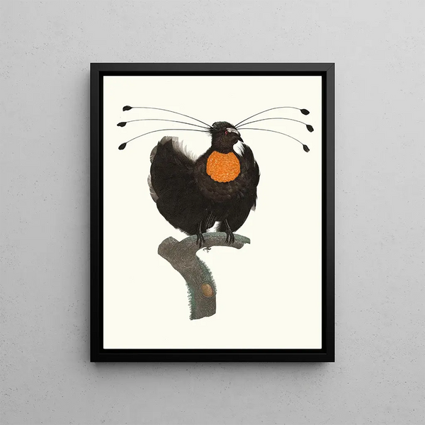 Jacques Barraband - Le Sifilet.webp