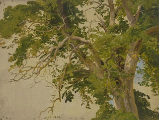 Jakob Becker - Treetop.webp