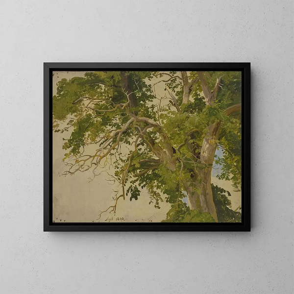 Canopée - Jakob Becker — cuadro enmarcado en la pared