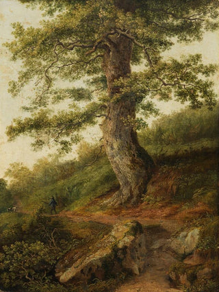 Jakob Philipp Hackert - Alter Olivenbaum bei Camaldoli.webp