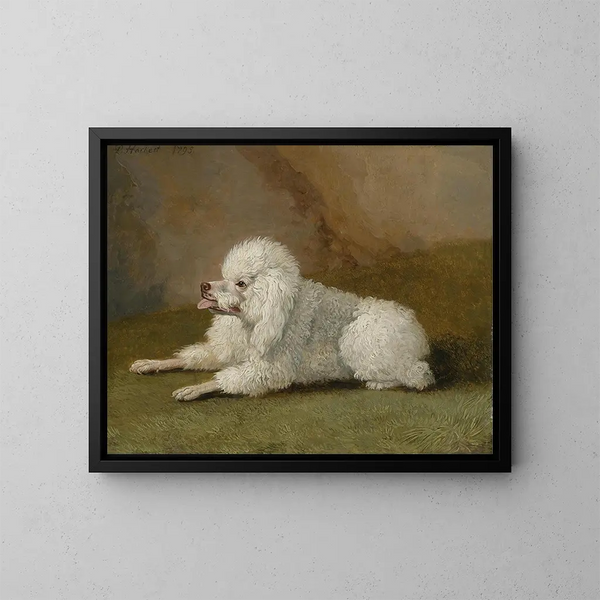 Portrait of a Poodle - Jakob Philipp Hackert — framed artwork on a wall
