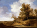 Un camino cerca de las cabañas - Jacob van Moscher — vista de la obra