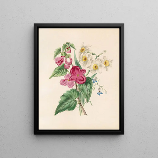 James Ackerman - Bignonia Martiana Narcissus And Blue Lobelia.webp
