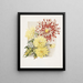 Daisies - James Callowhill — cuadro enmarcado en la pared