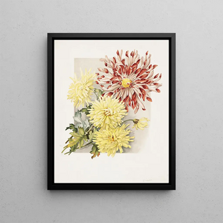 James Callowhill - Daisies.webp