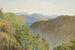 Escena de matorrales - James Crowe Richmond — vista de la obra