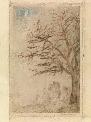 James Ensor - Acacia.webp