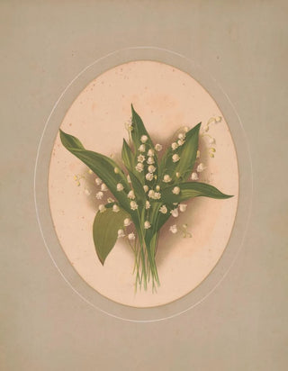 James Fuller Queen - Lilies of the valley.webp