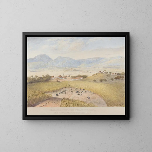 Domaine de Llanrumny, Sainte-Marie, Jamaica - James Hakewill — framed artwork on a wall