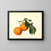 Citrus aurantium acid x 23 - James Marion Shull — framed artwork on a wall