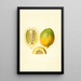 Citrus lemon - James Marion Shull — framed artwork on a wall