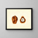 Hyphaene thebaica - James Marion Shull — framed artwork on a wall