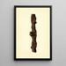 Malus domestica Pioneer of New Zealand - James Marion Shull — framed artwork on a wall