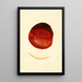 Malus domestica Spitzenberg - James Marion Shull — framed artwork on a wall