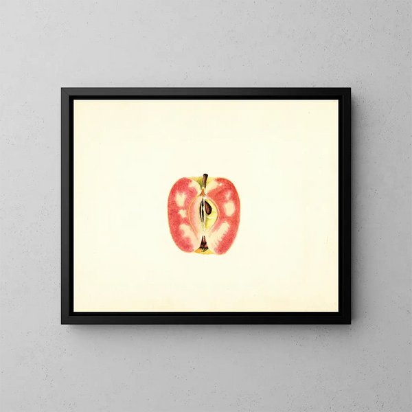 Pomme domestique Surprise - James Marion Shull — cuadro enmarcado en la pared