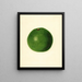 Persea Winslowson - James Marion Shull — framed artwork on a wall