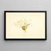 Prunus domestica Burbank - James Marion Shull — framed artwork on a wall