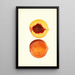 Prunus persica Shipper - James Marion Shull | Painting — framed artwork on a wall