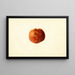 Prunus persica Sutler Cling - James Marion Shull — cuadro enmarcado en la pared