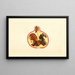 Punica granatum Alternaria - James Marion Shull — framed artwork on a wall