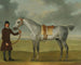 M. Thomas Panton y un caballo de carreras gris sostenido por un mozo de cuadra en Newmarket Heath - James Seymour — vista de la obra
