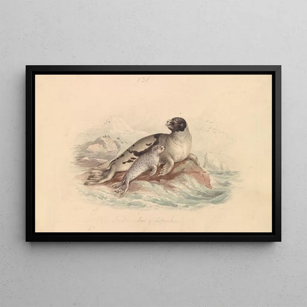 James Stewart - The Ocean Seal of Lepechin.webp