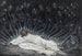 Jesús asistido por ángeles - James Tissot — vista de la obra