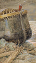La Colombe revient vers Noé - James Tissot — artwork view
