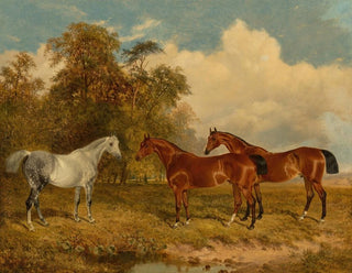 James Walsham Baldock - Two bay horses and a dappled grey in a field with trees on the left.webp