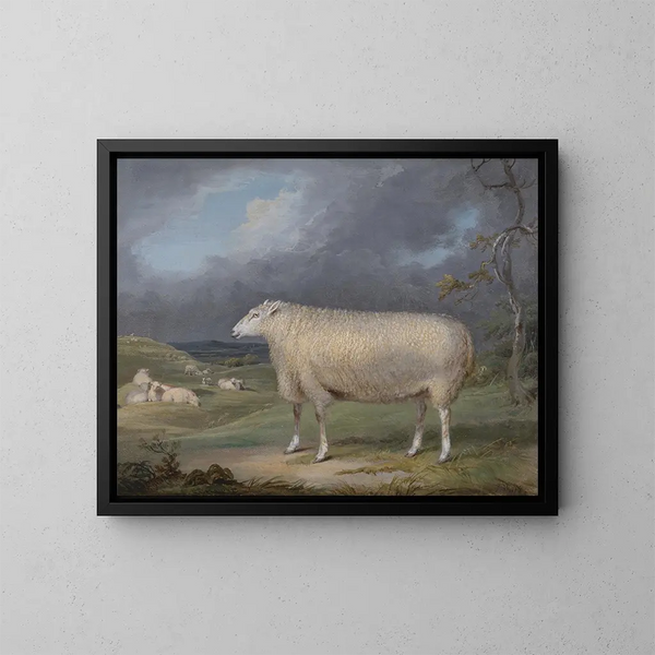 Una oveja Border Leicester - James Ward — cuadro enmarcado en la pared