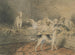 Chiens - James Ward — vista de la obra
