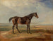a bay racehorse at sea with an estuary in the background - James Ward — artwork view