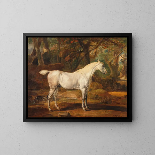 de impresión artística de un caballo árabe gris perteneciente a Sir Watkin Williams-Wynn - James Ward — cuadro enmarcado en la pared