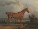 Cazador en un paisaje - James Ward — vista de la obra