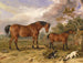 retrato del reformador Blucher Tory y del cuna perteneciente a Rowland Alston Esq MP - James Ward — vista de la obra