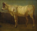 Portrait of a Cow - James Ward — artwork view