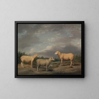 James Ward - Ryelands Sheep the Kings Ram the Kings Ewe and Lord Somervilles Wether.webp