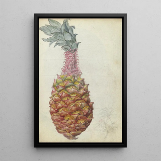 Jan Brandes - Ananas.webp