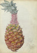 Pineapple - Jan Brandes — artwork view