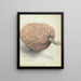 Boanonna or wild serikaja - Jan Brandes — framed artwork on a wall
